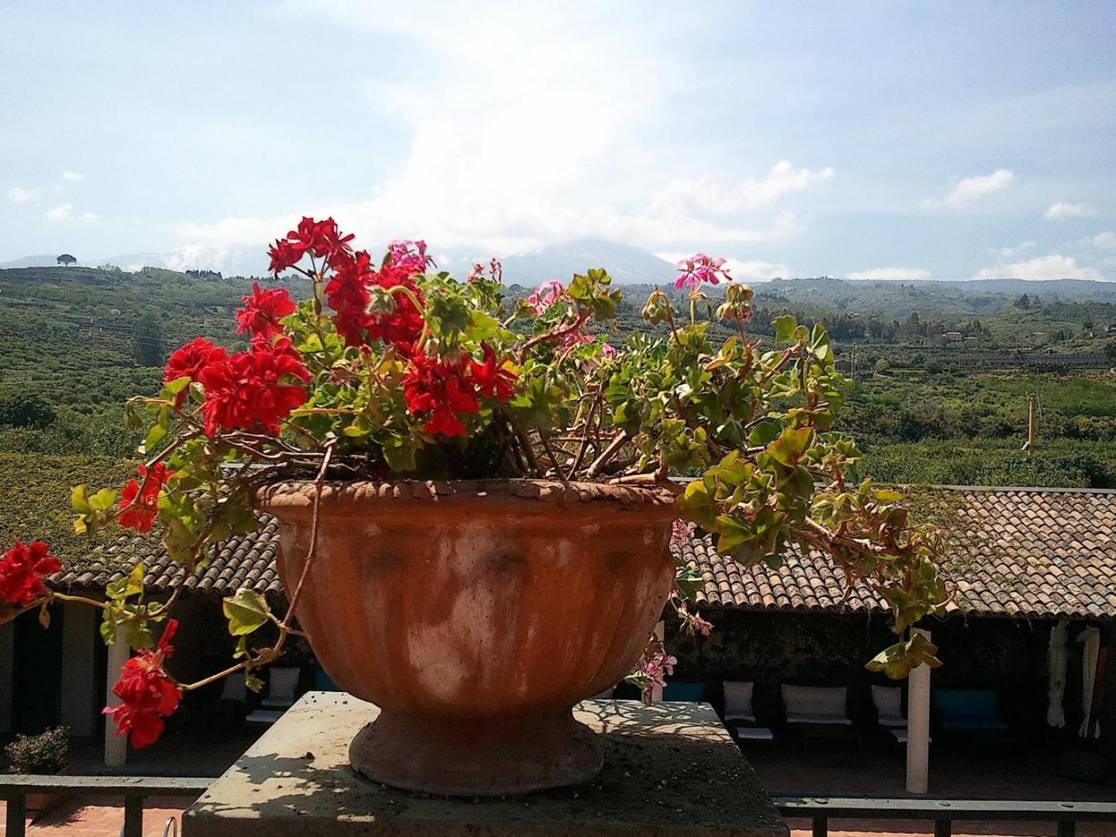 Etna Hotel Giarre Exterior foto
